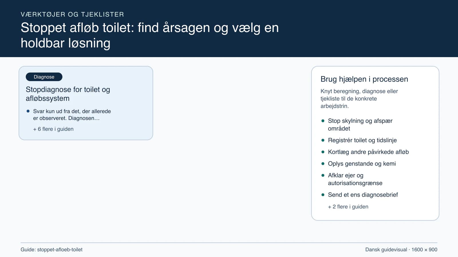 Værktøjsoversigt til “Stopdiagnose for toilet og afløbssystem”.