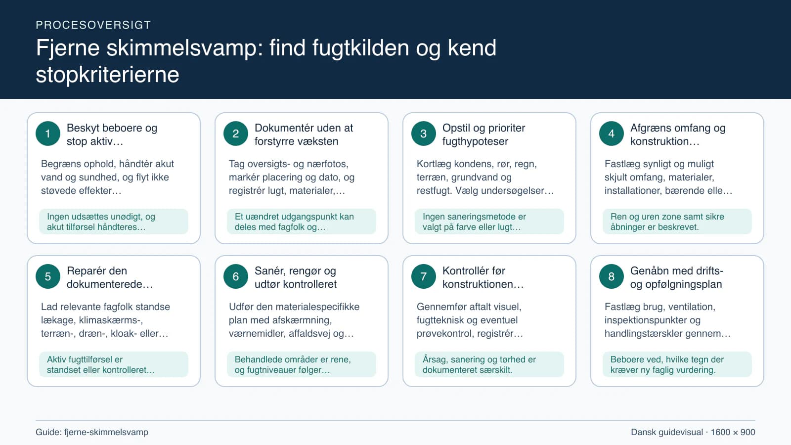 Procesoversigt til guiden “Fjerne skimmelsvamp: find fugtkilden og kend stopkriterierne” med konkrete arbejdstrin og kontrolpunkter.