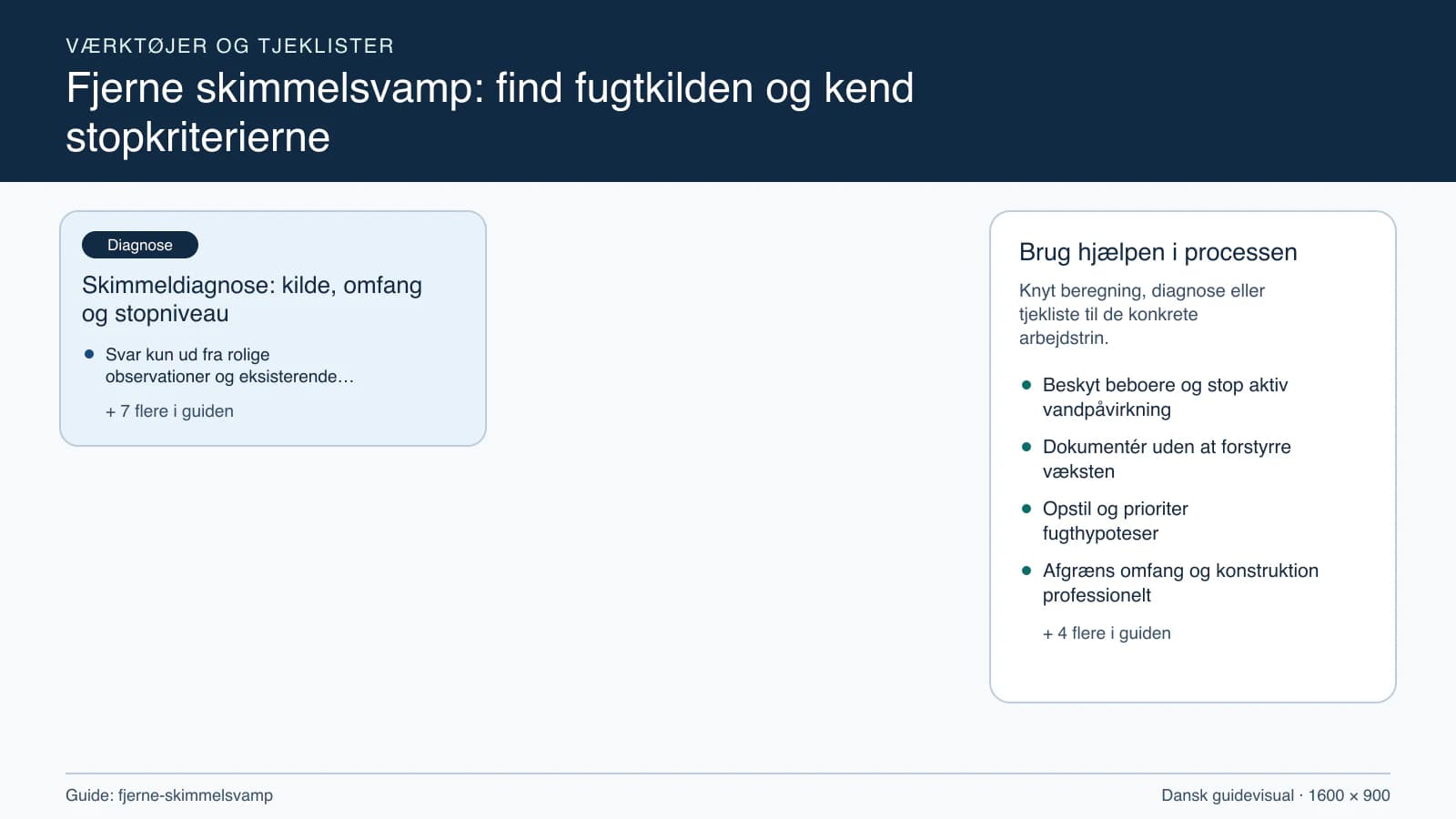 Værktøjsoversigt til “Skimmeldiagnose: kilde, omfang og stopniveau”.
