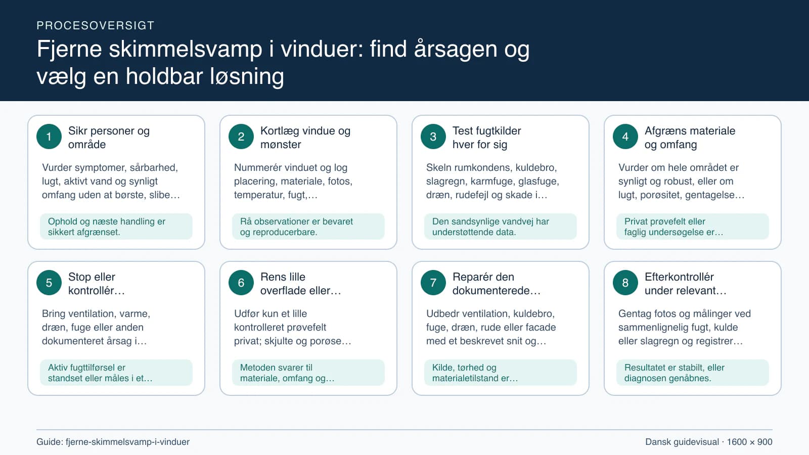 Procesoversigt til guiden “Fjerne skimmelsvamp i vinduer: find årsagen og vælg en holdbar løsning” med konkrete arbejdstrin og kontrolpunkter.